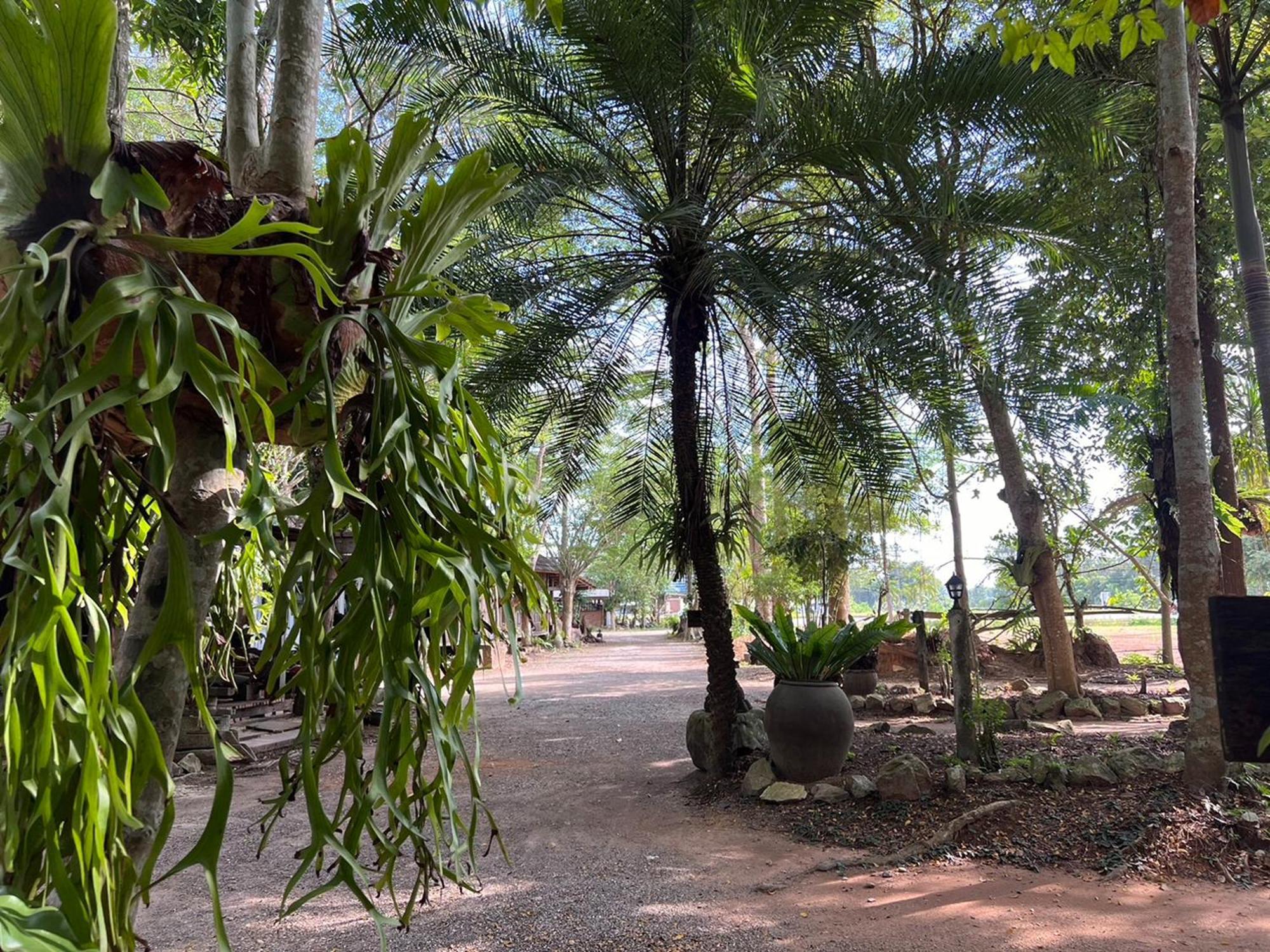 Pang Mai Resort Сонгкхла Экстерьер фото