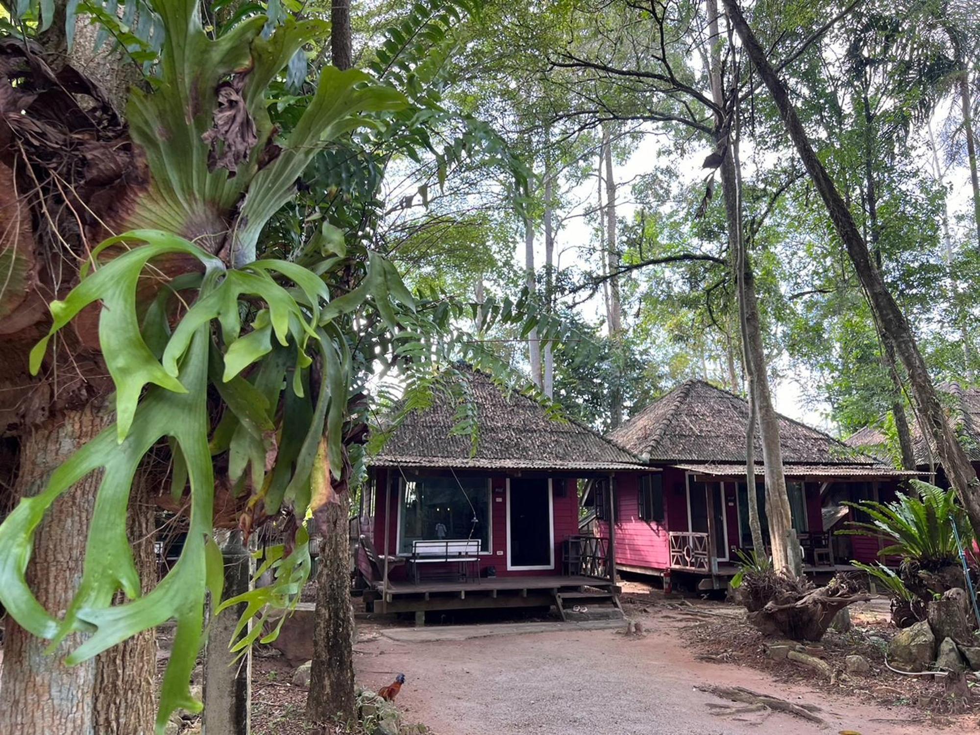 Pang Mai Resort Сонгкхла Экстерьер фото