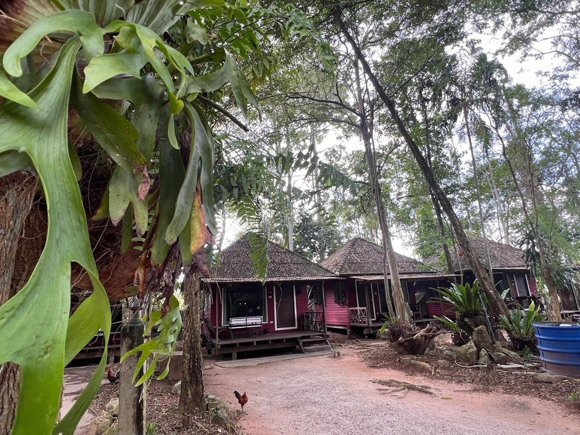 Pang Mai Resort Сонгкхла Экстерьер фото